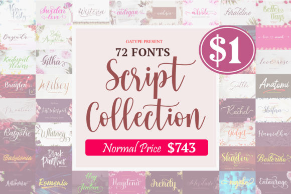 Download The Script Collection Bundle - Bundle Collection